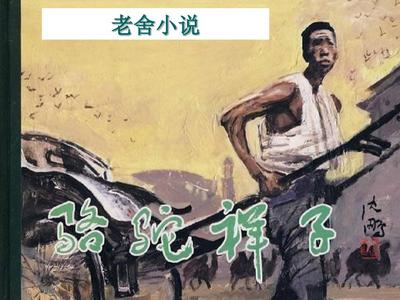 求一个网站2025